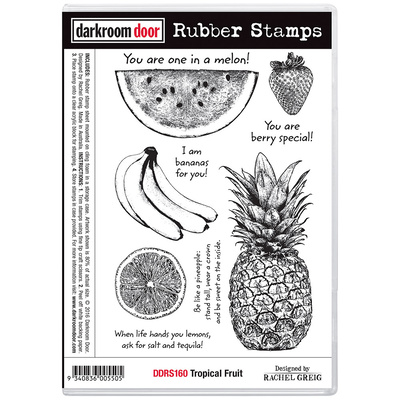 Rubber Stamp Set - Tropical Fruit